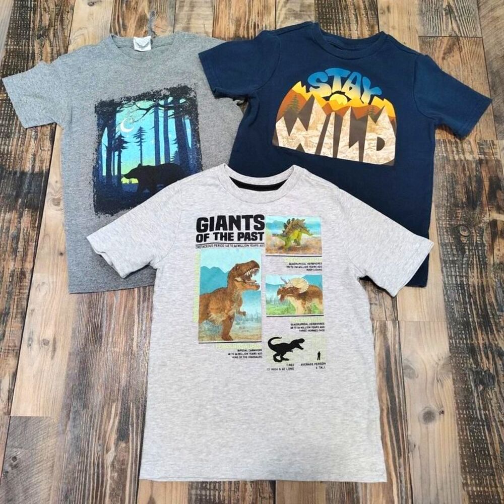 Boys T-Shirt Lot Size 7 Dinosaurs Dollywood Bear Stay Wild Casual Playwear